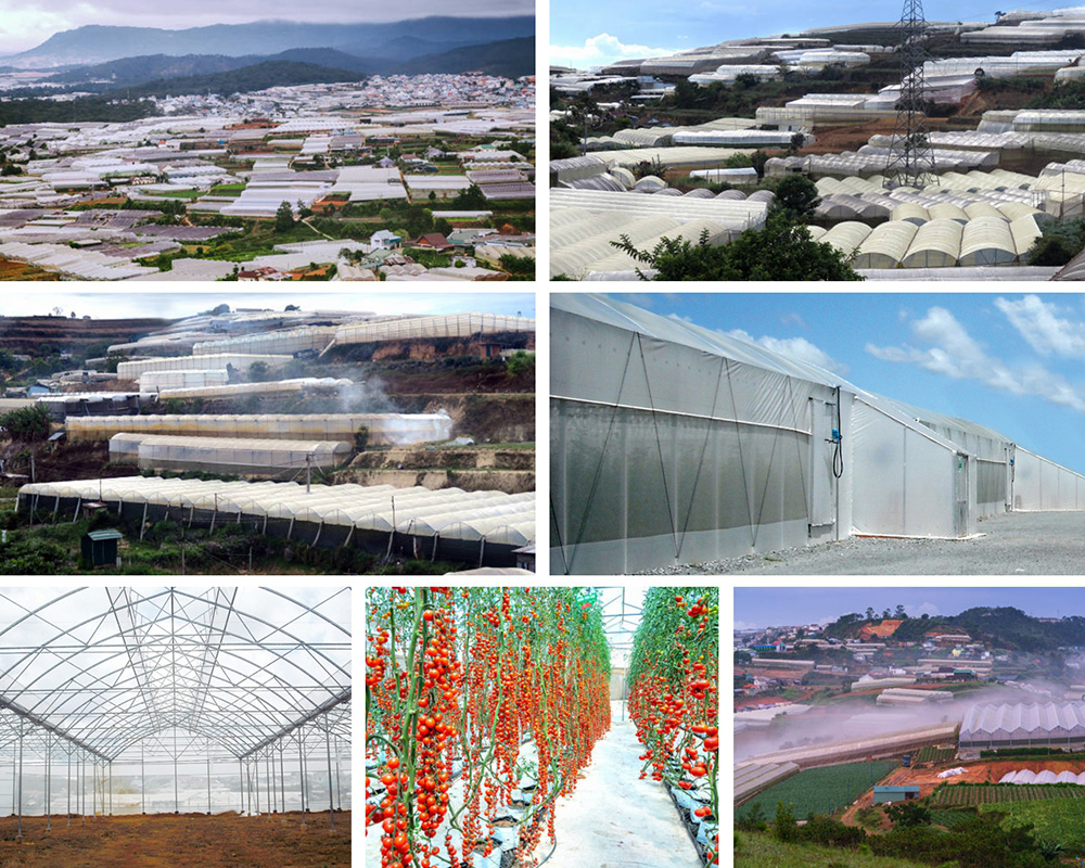 TOYOTANI® Global Projects – Asien